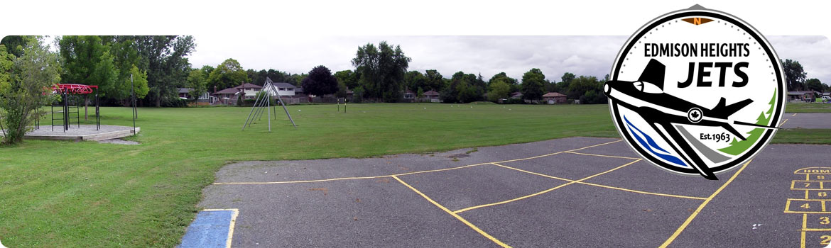 This is an image of our school yard